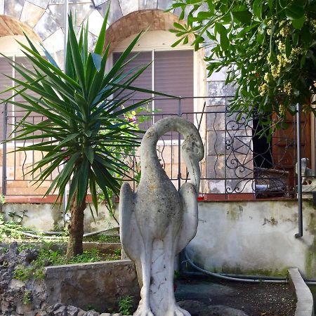 Villa Merina Vieste Exteriör bild